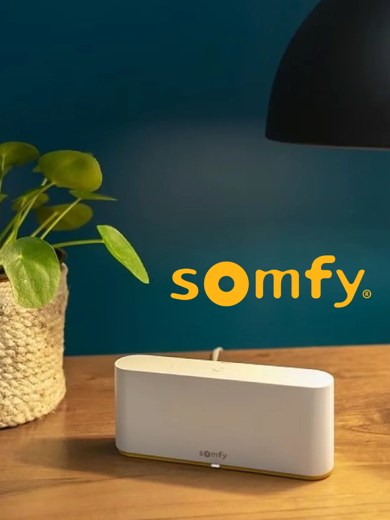 Somfy Swtich